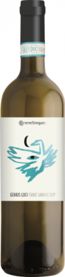 Terre Stregate Fiano