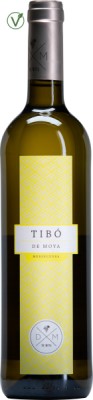 Tibo_WEB