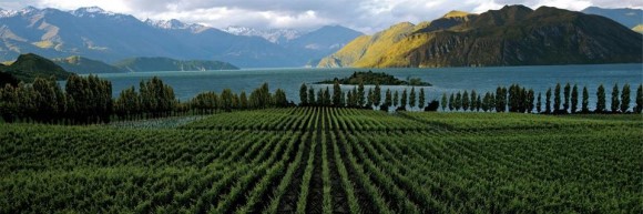 NewZealand