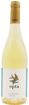 Opta Encruzado