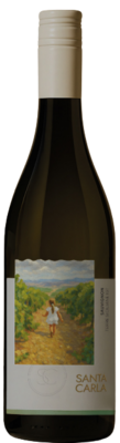 Brugnano Carla Sauvignon